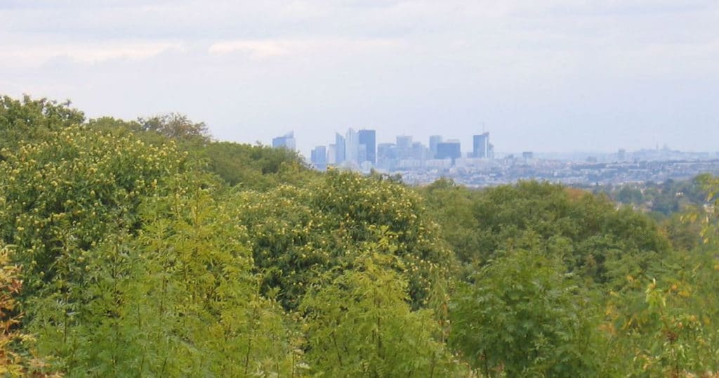 forêt de marly