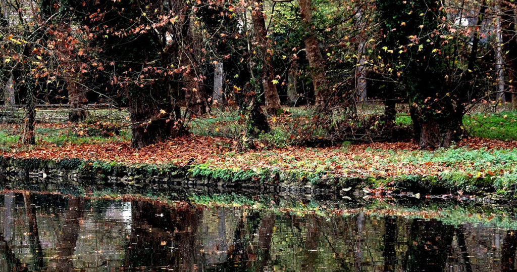 forêt de rambouillet